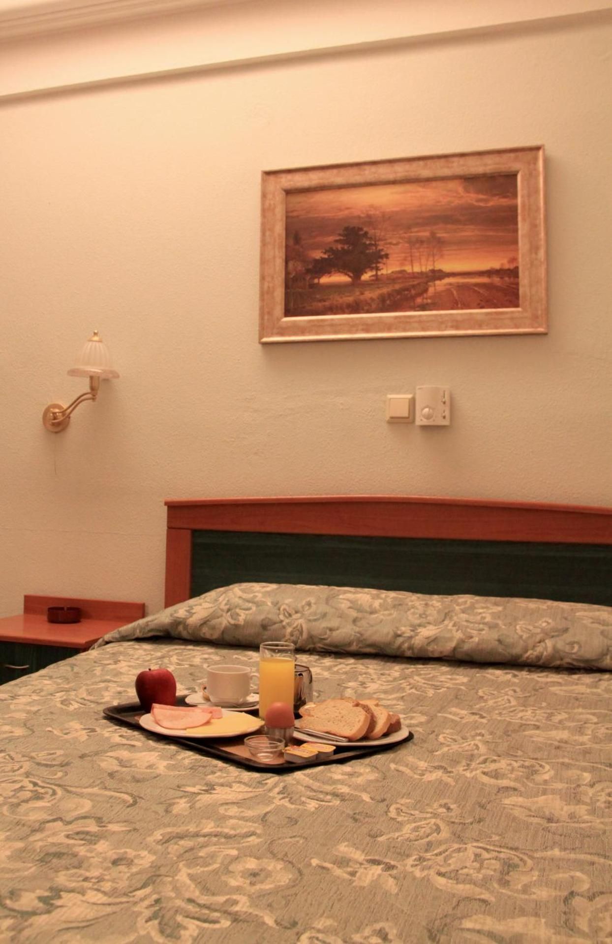 Hotel Platon Double Room 2