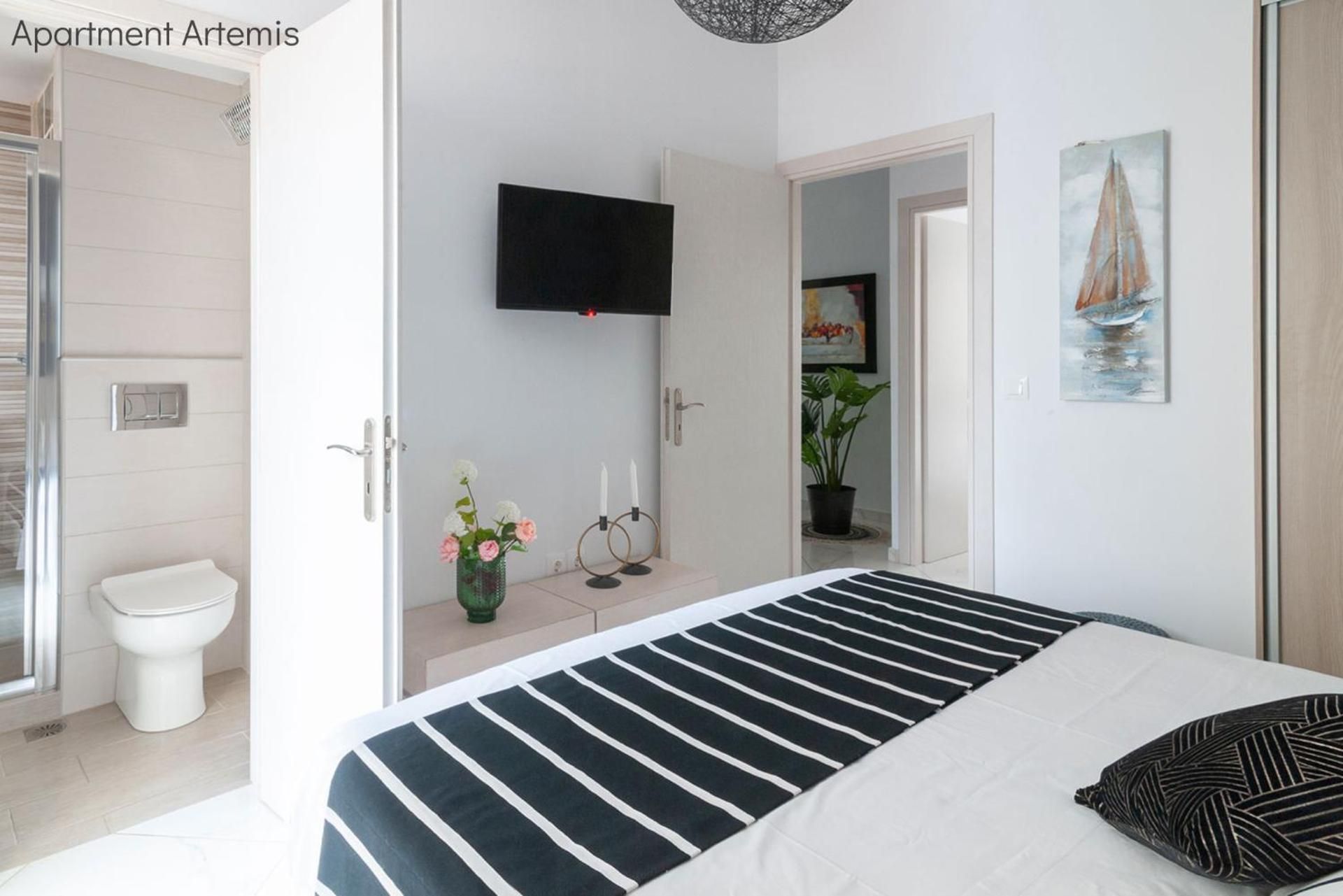 Deluxe Apartment Artemis