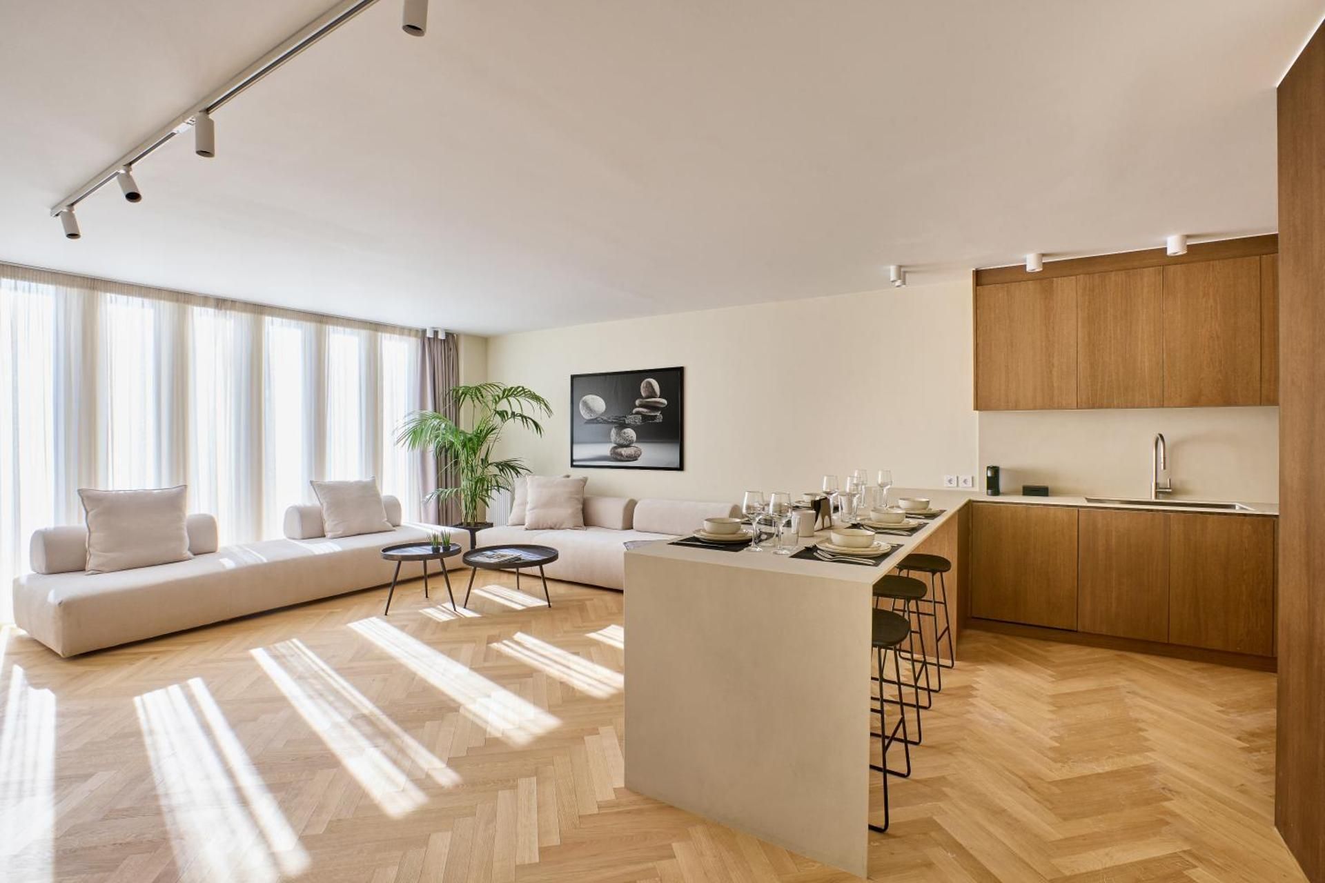 Penthouse Apartment