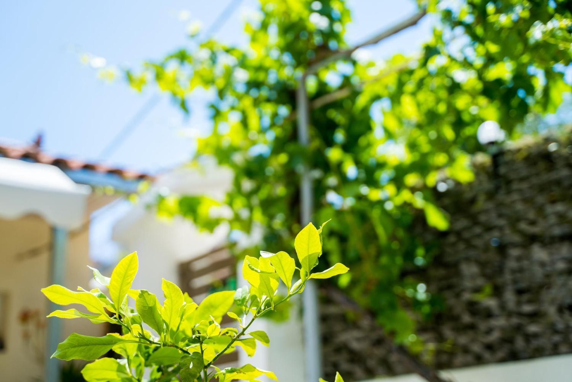 The DreamHouse Athens Airport