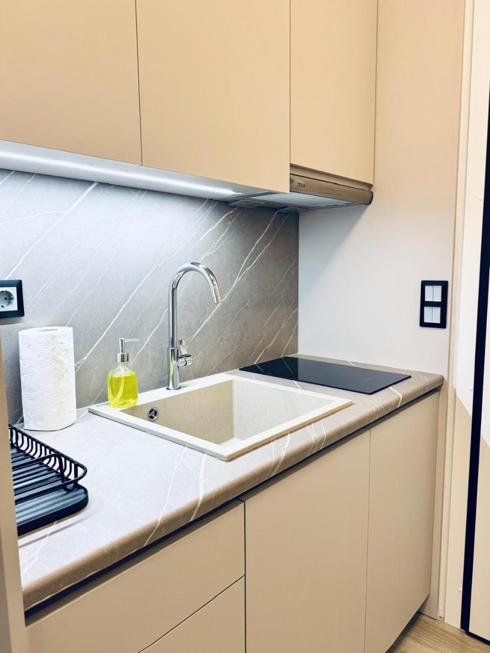 Deluxe One-Bedroom Apartment
