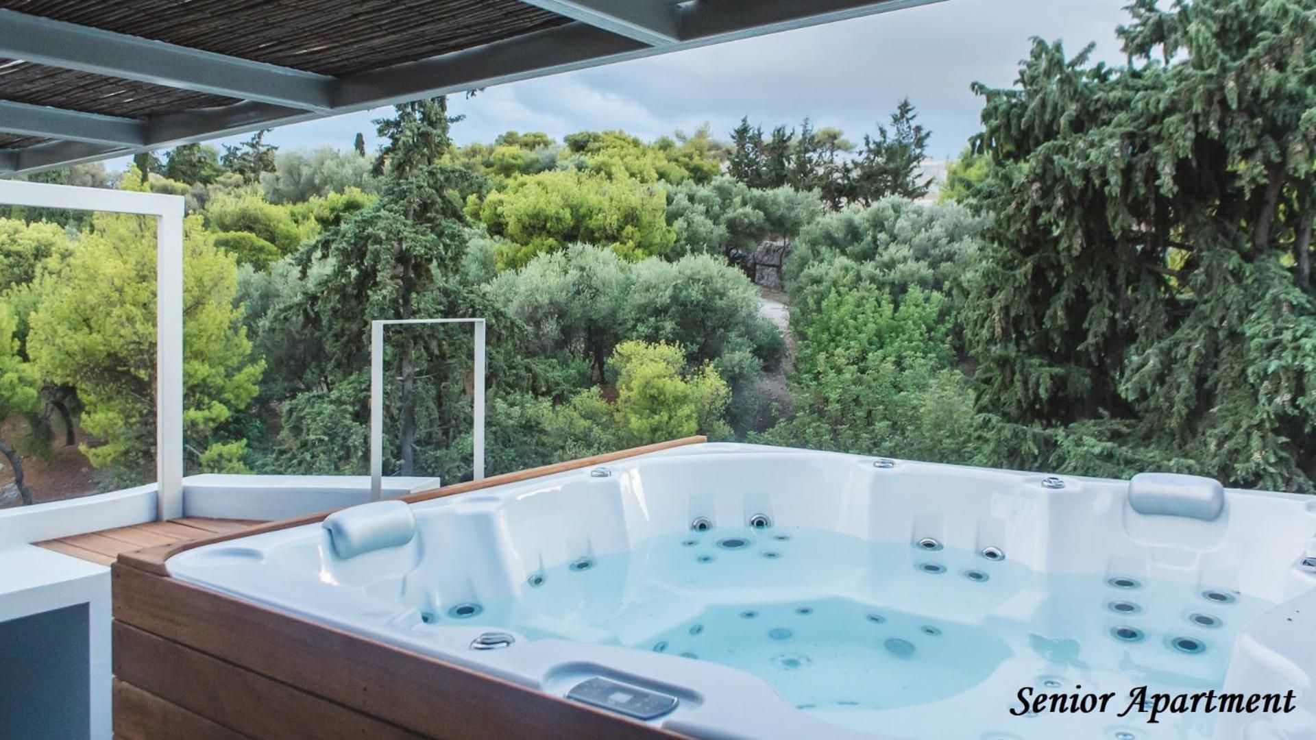 Senior 3 Bedroom Apt with outdoor hot tub and Acropolis view