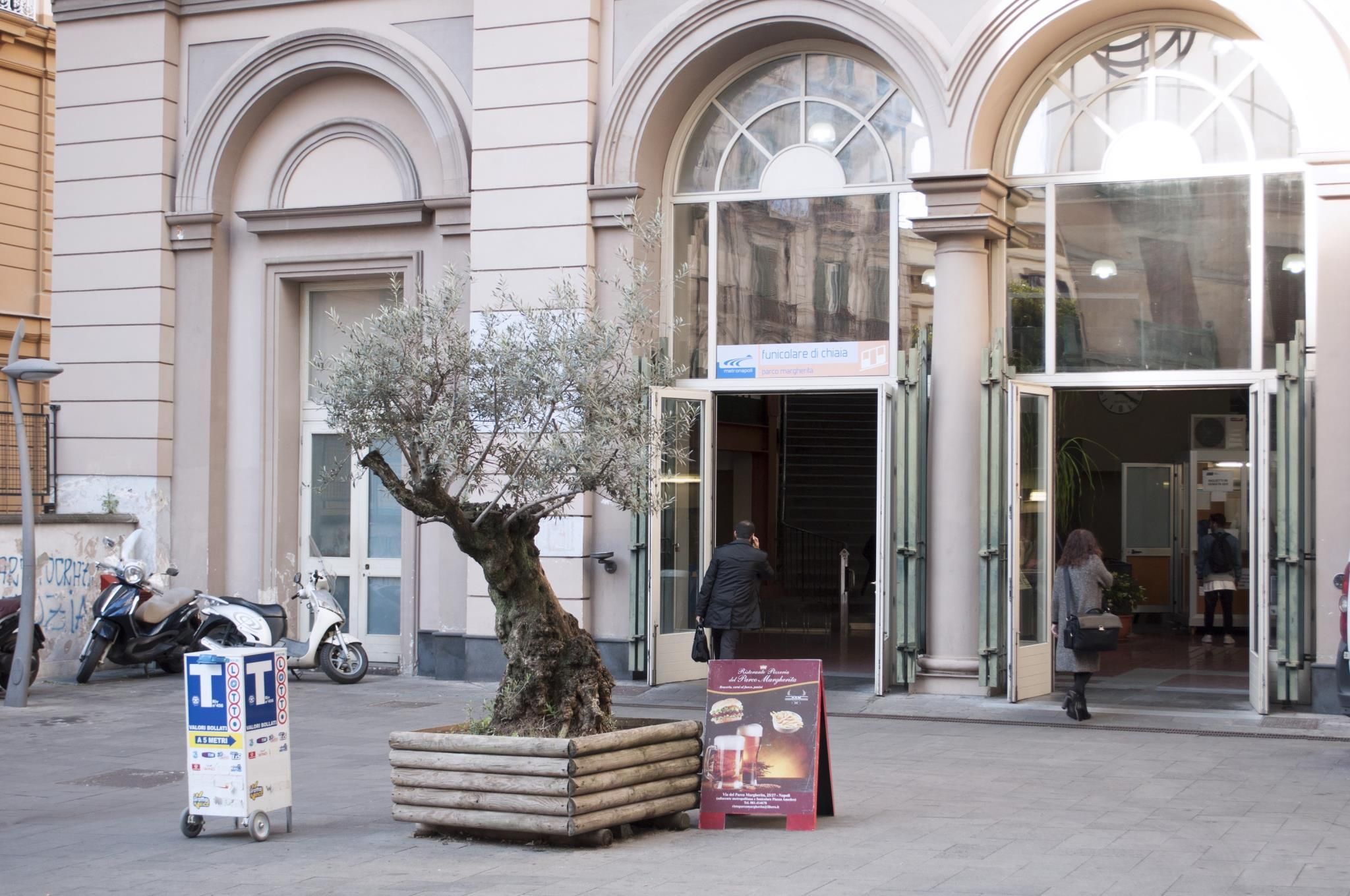 surrounding environment