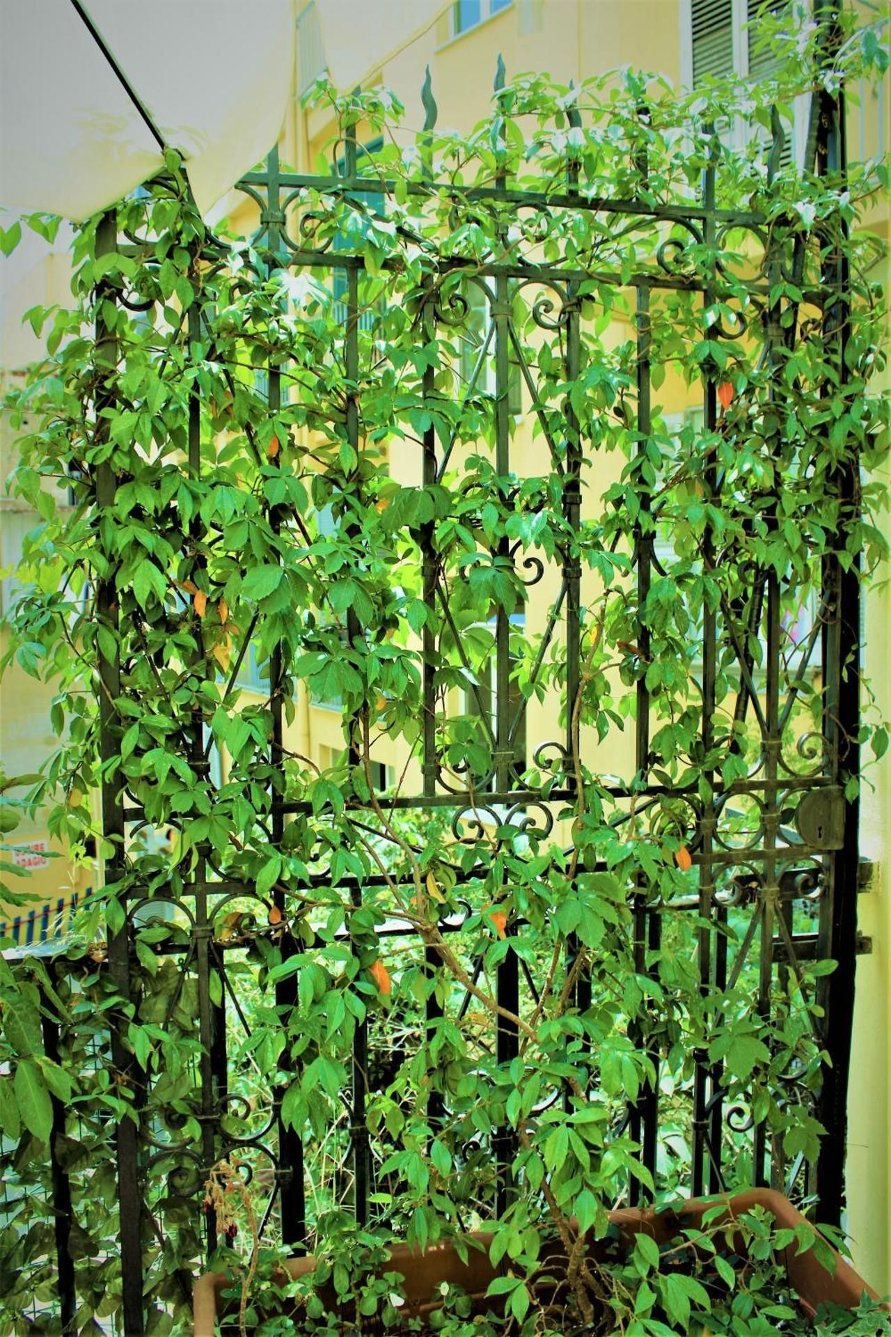 Di affreschi e volte