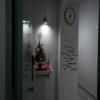 Cristal Home