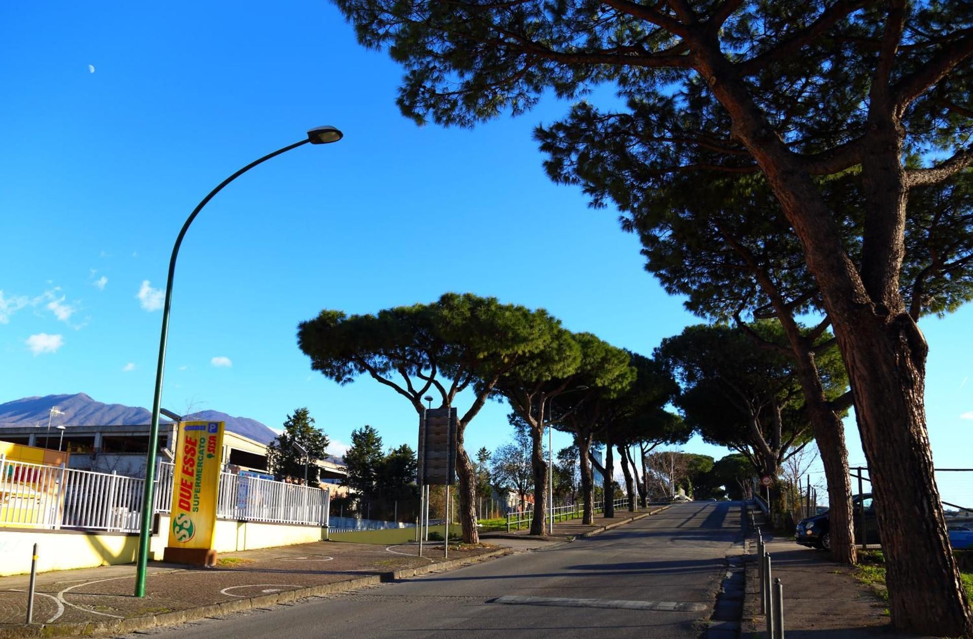 surrounding environment