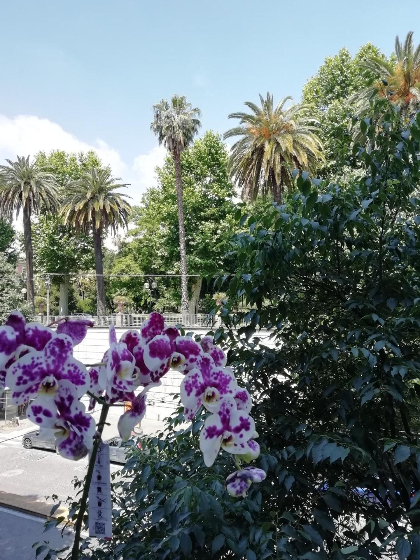 Botanic Charm