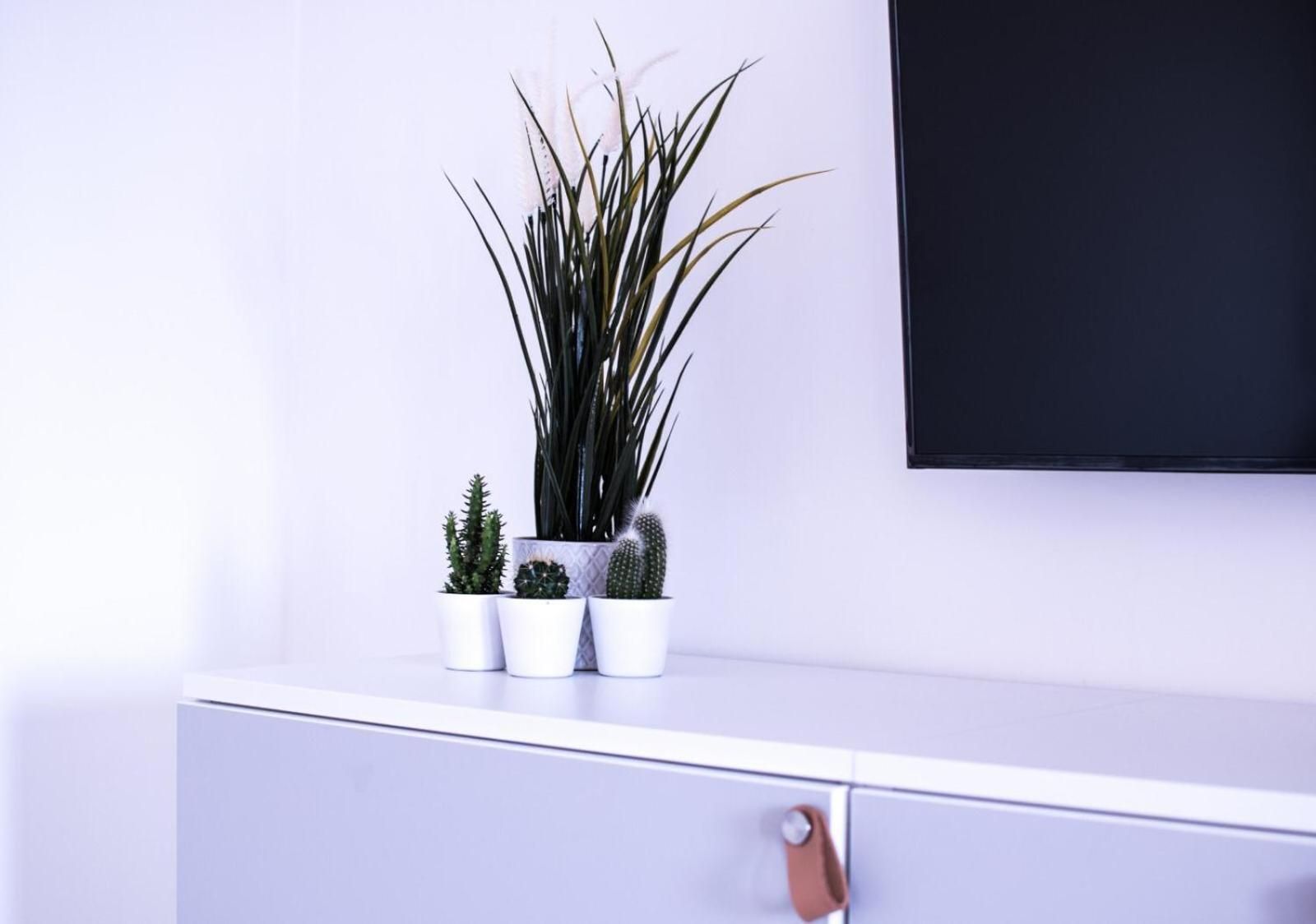 Walk Rooms