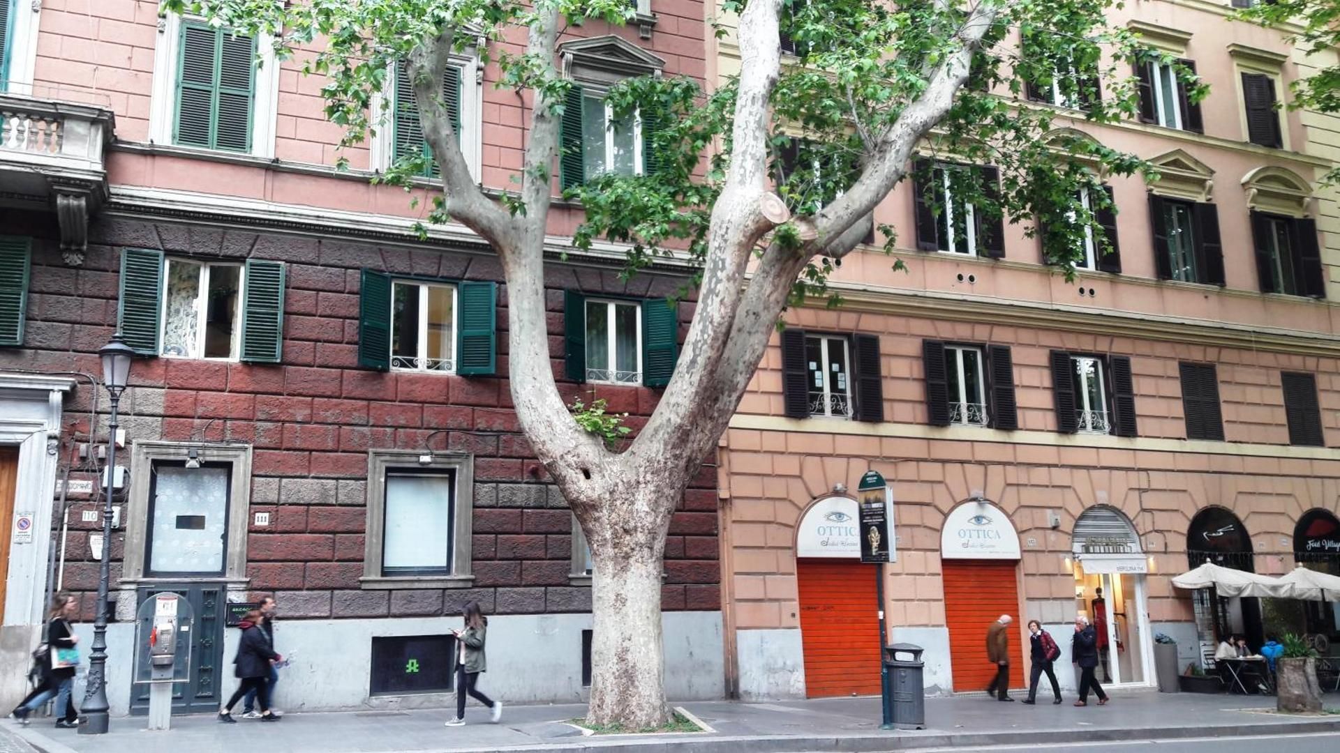 Monia Coliseum Apartment