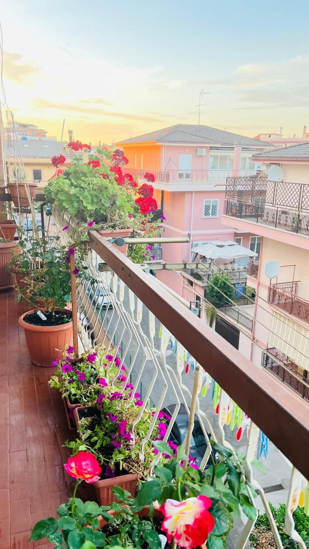 Oasi di Serenita