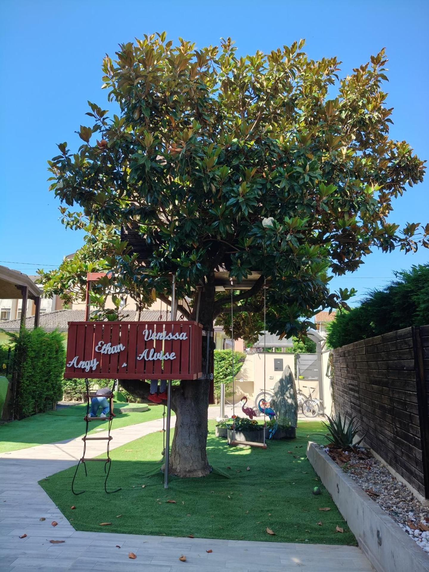 surrounding environment