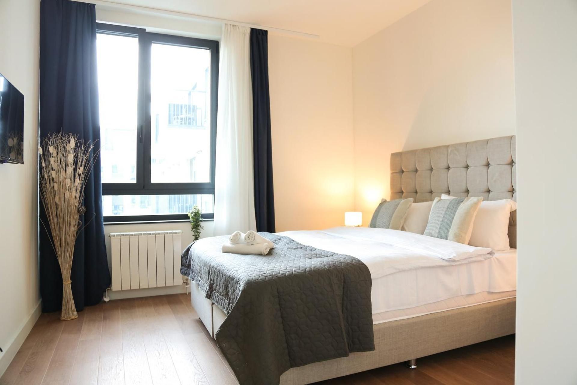 Deluxe One-Bedroom Apartment