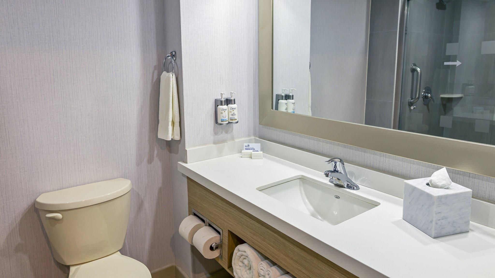 Holiday Inn Express Chihuahua By IHG King Room 3