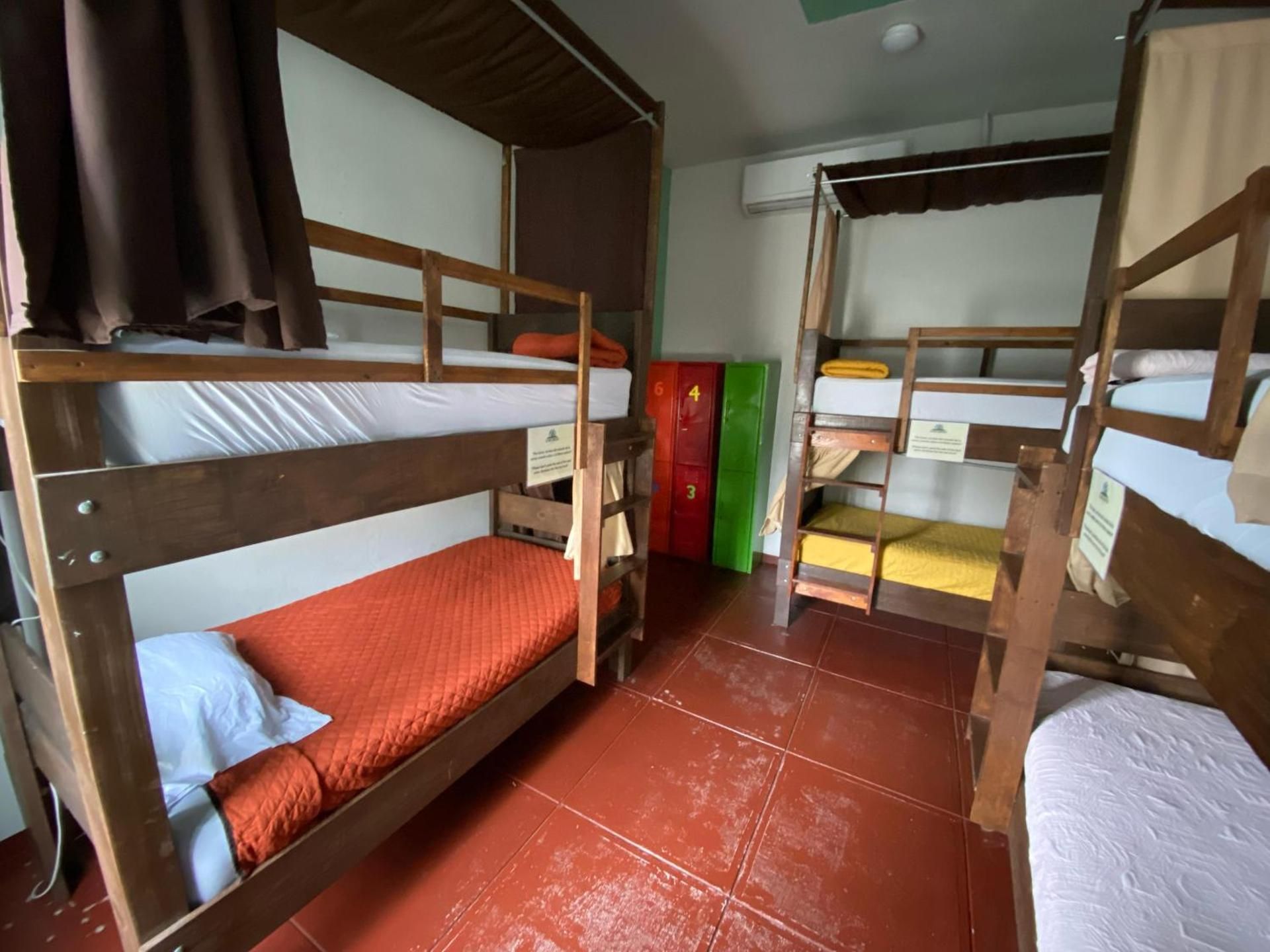 Bed in 6-Bed Dormitory Room