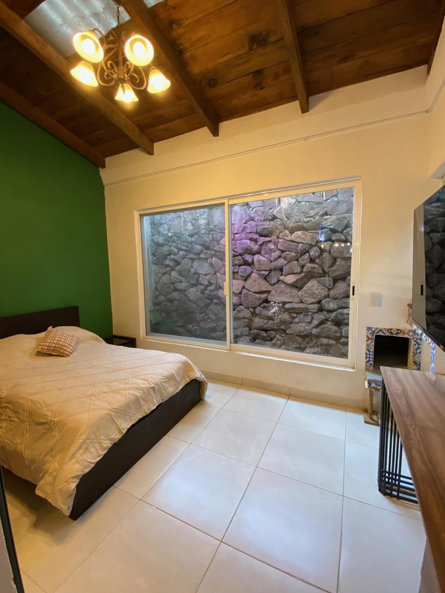 Studio with Garden View