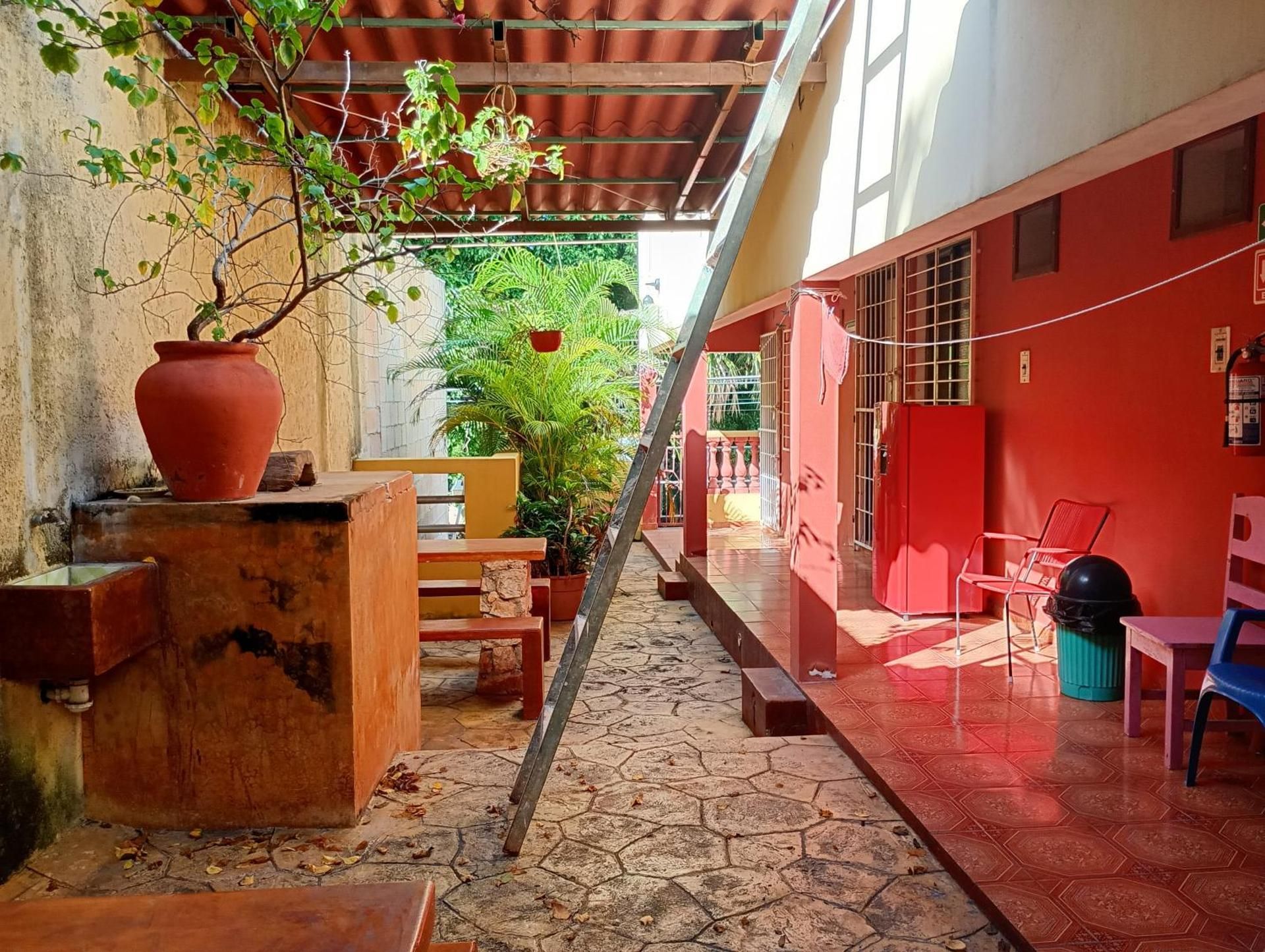 Hospedaje casa Yuca