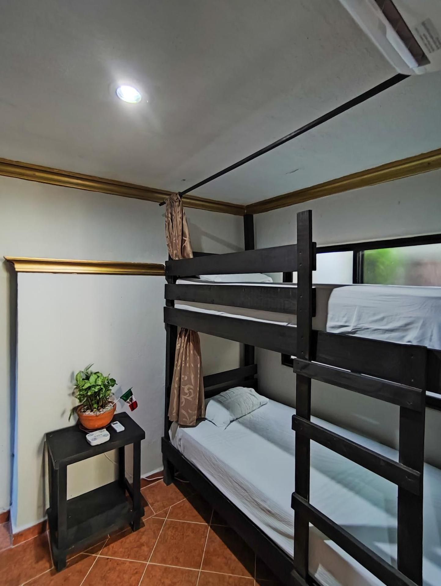 Bunk Bed in Mixed Dormitory Room