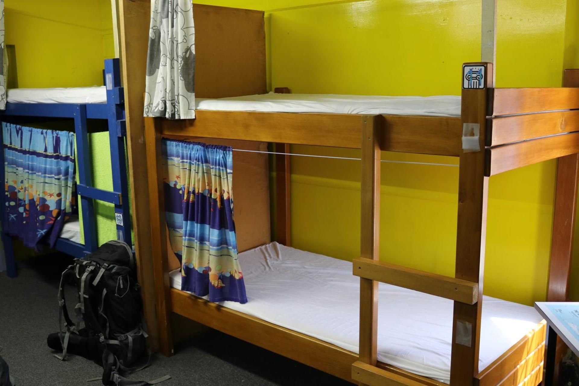 Bunk Bed in Mixed Dormitory Room without bedding