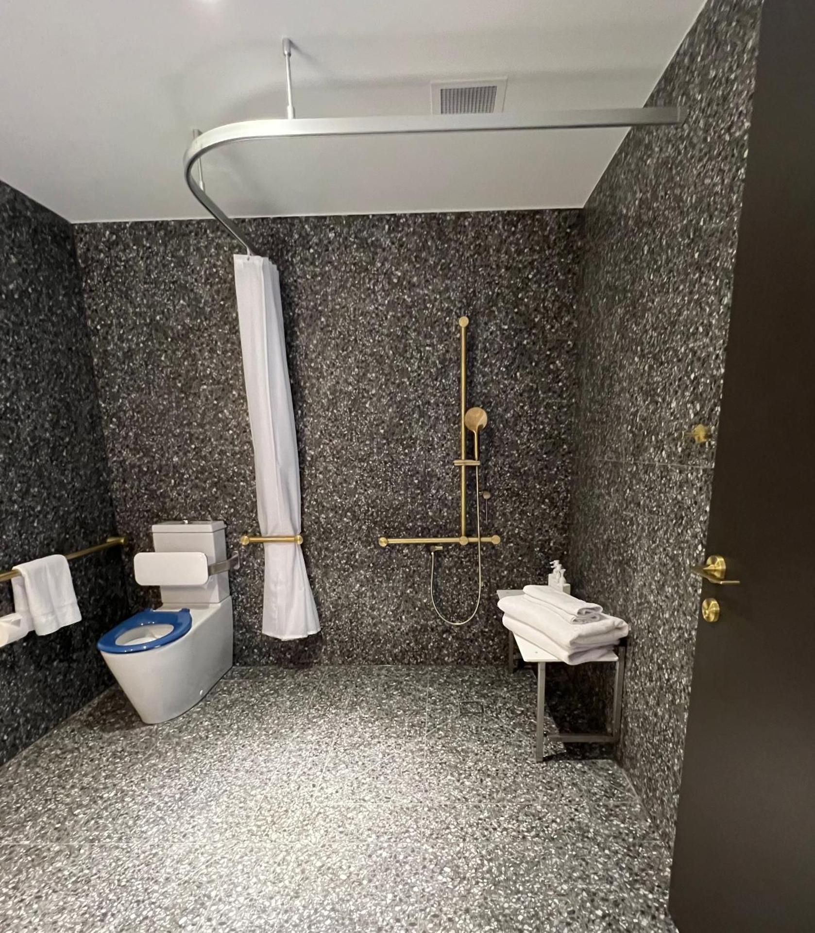 King Accessible Room
