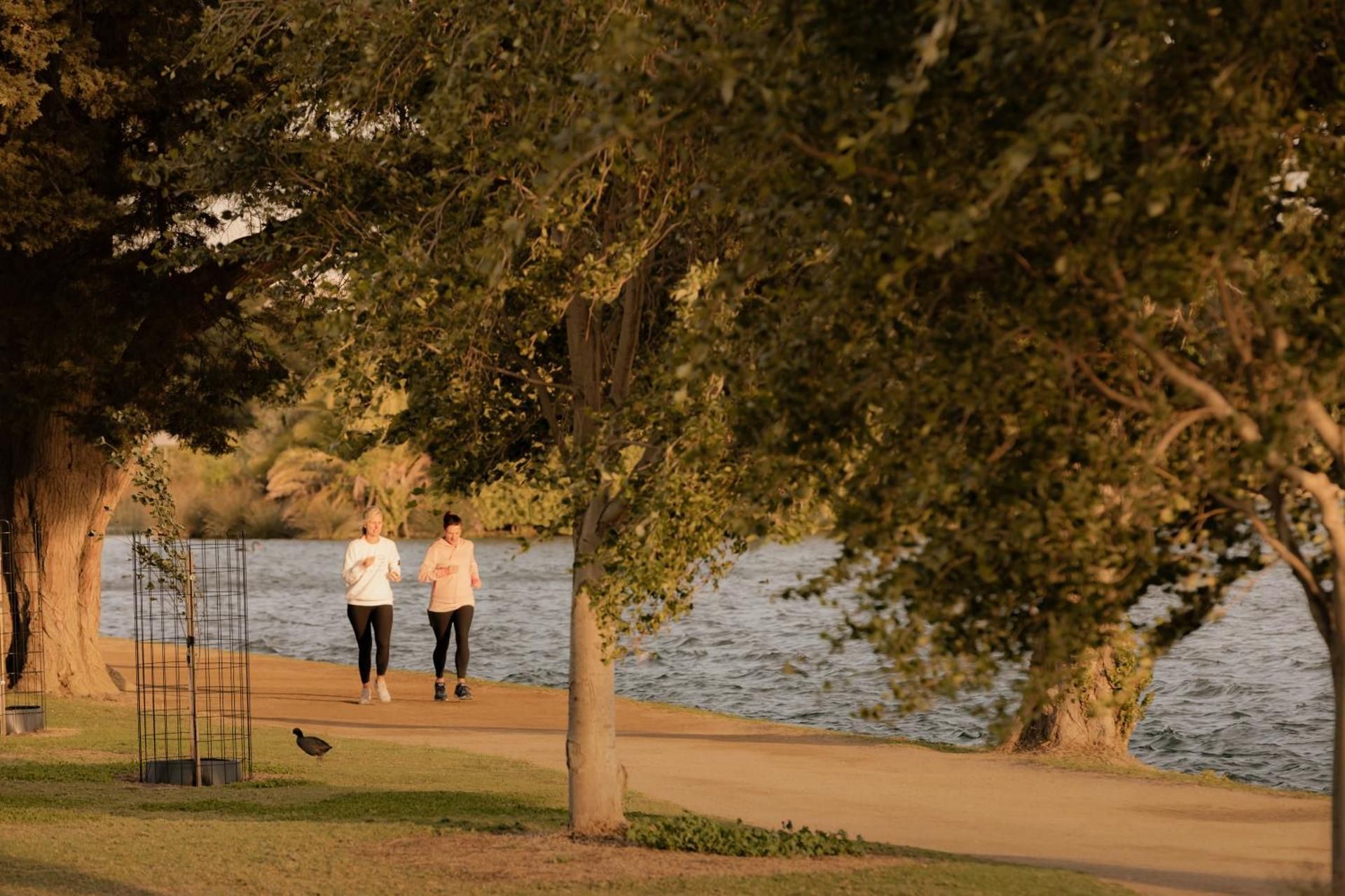 surrounding environment