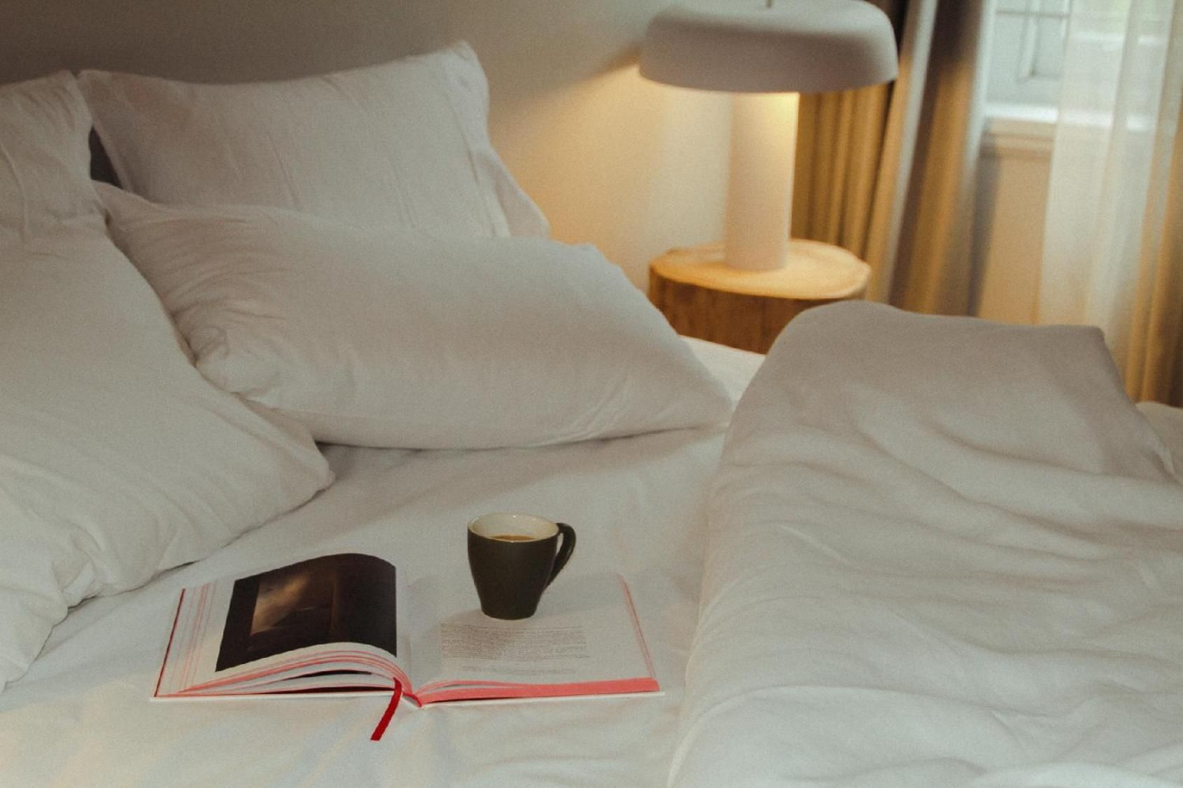 Camelia Grove Hotel Studio 2