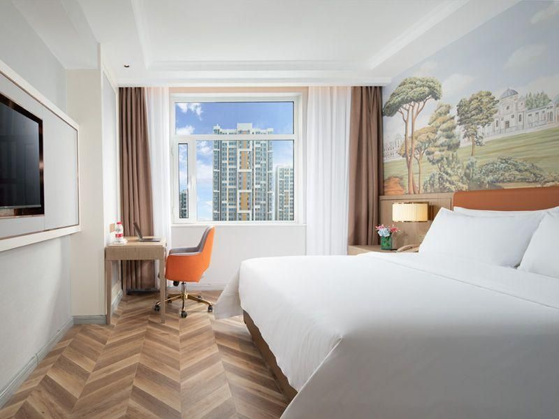 Vienna - 1 Bed Room with View