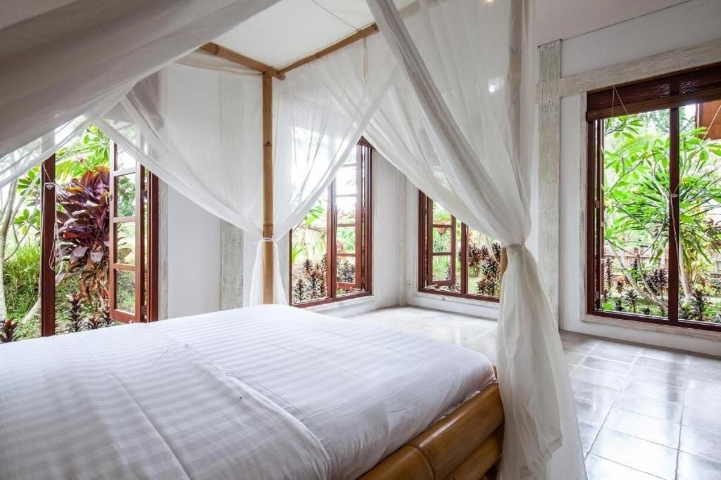 King Room with Pool View