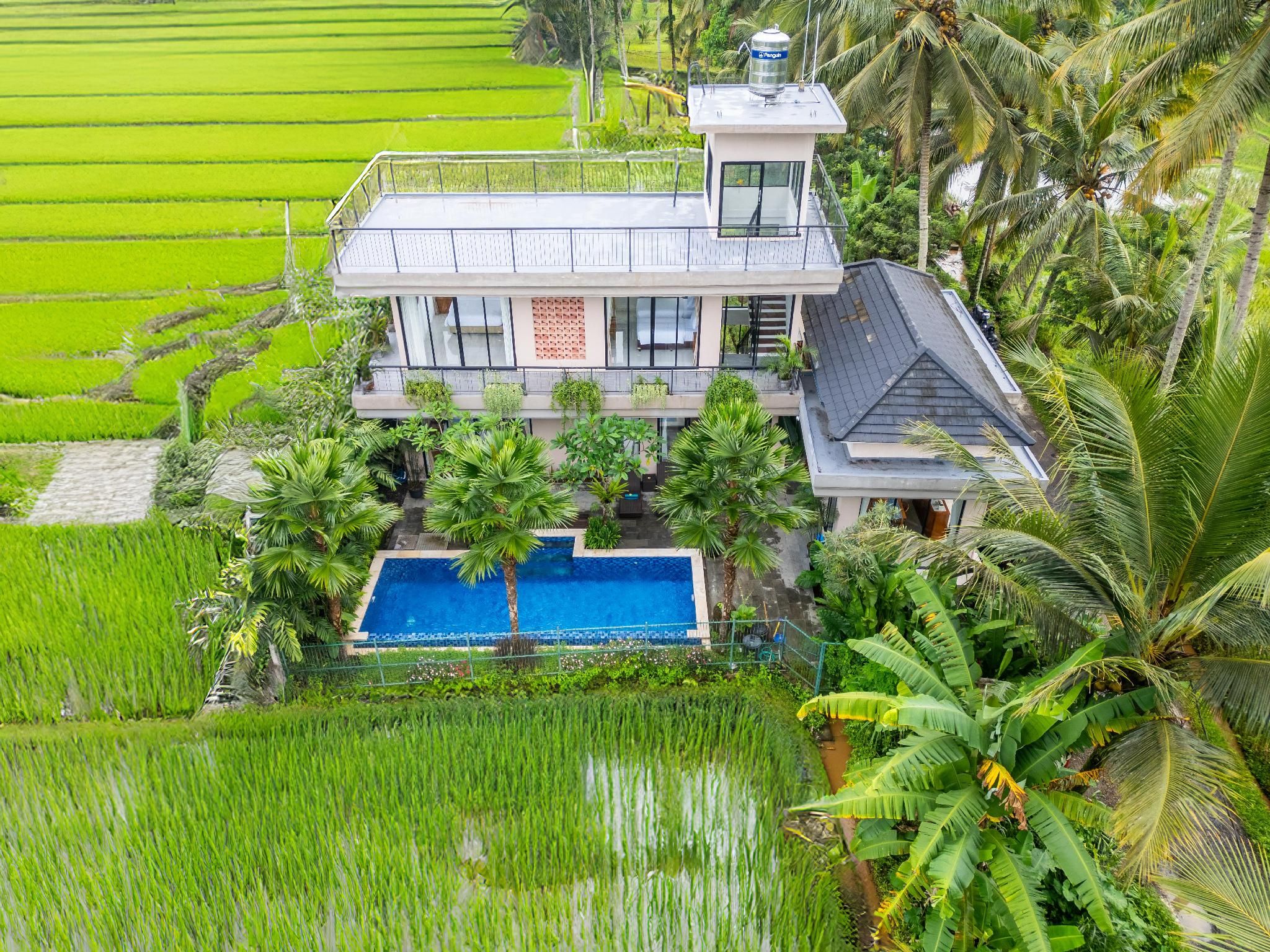 Rice Field View Family Villa