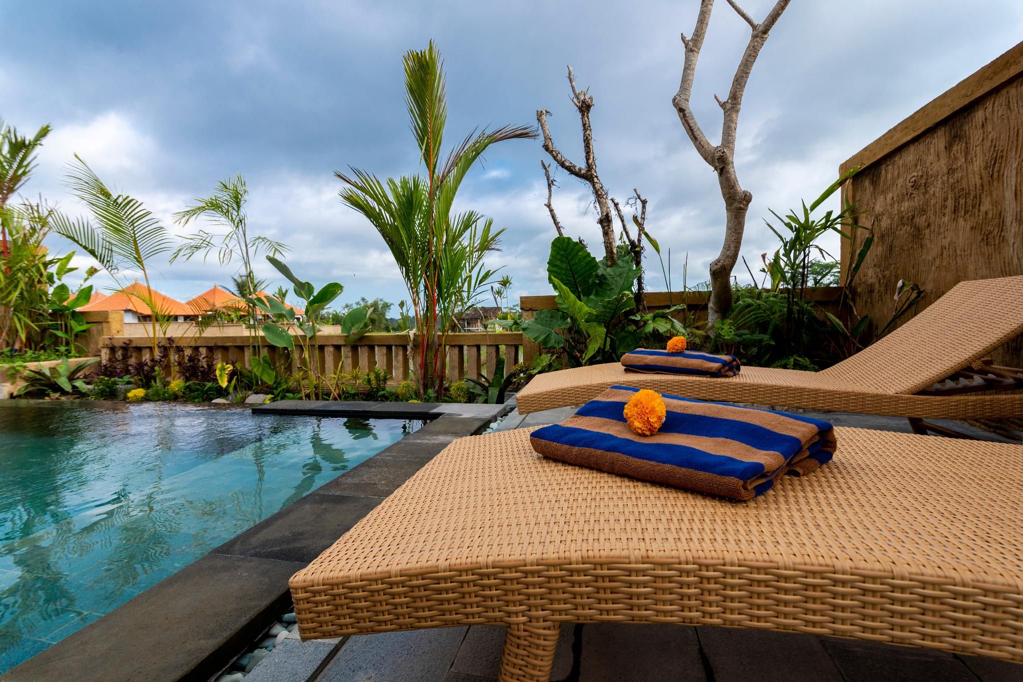 swimming pool [outdoor]