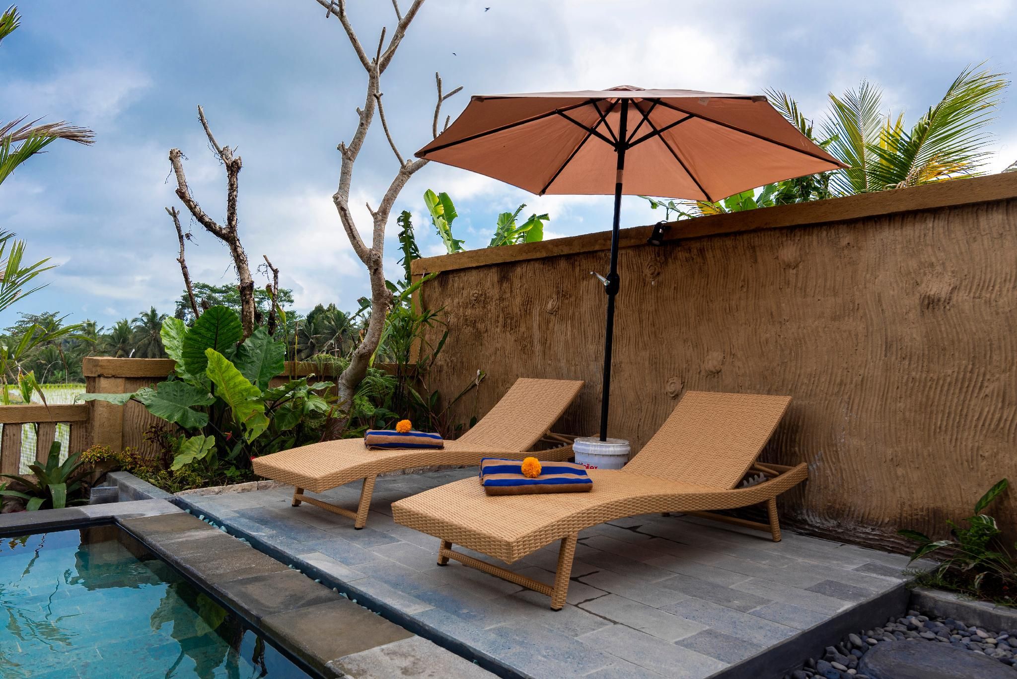 swimming pool [outdoor]