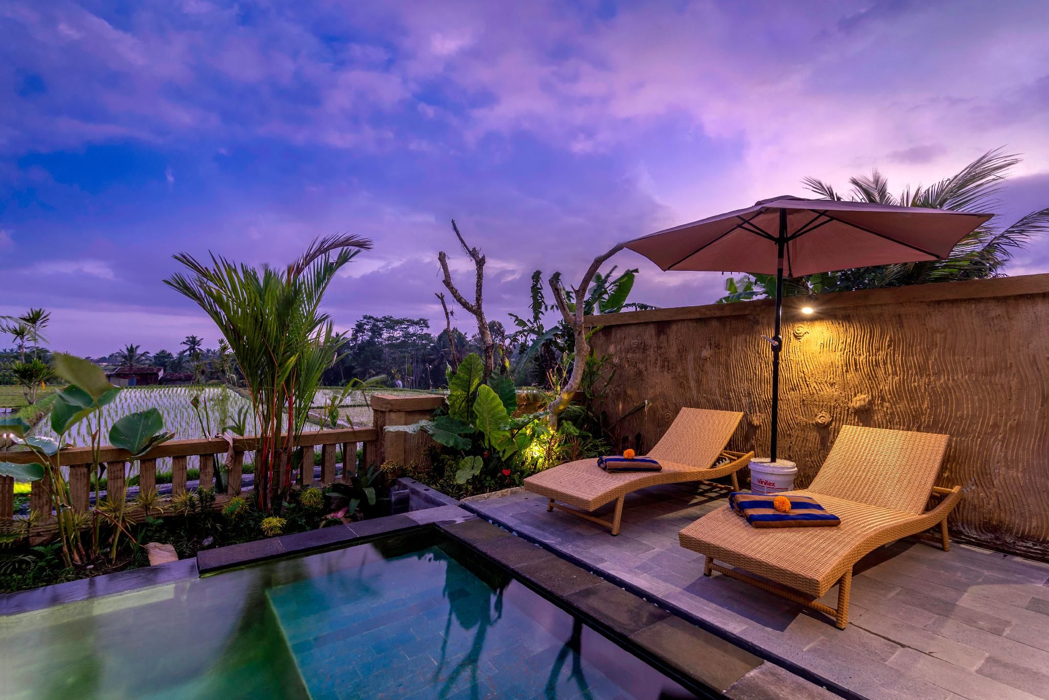 swimming pool [outdoor]