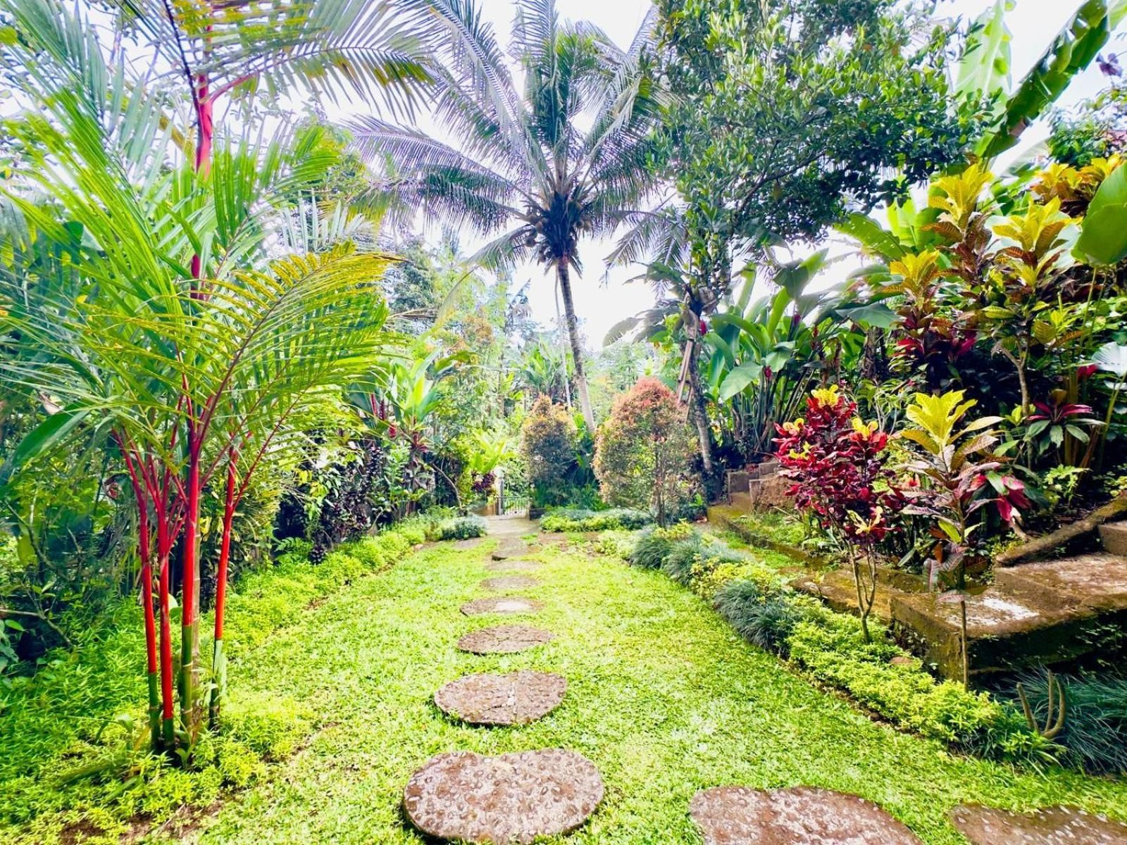 surrounding environment