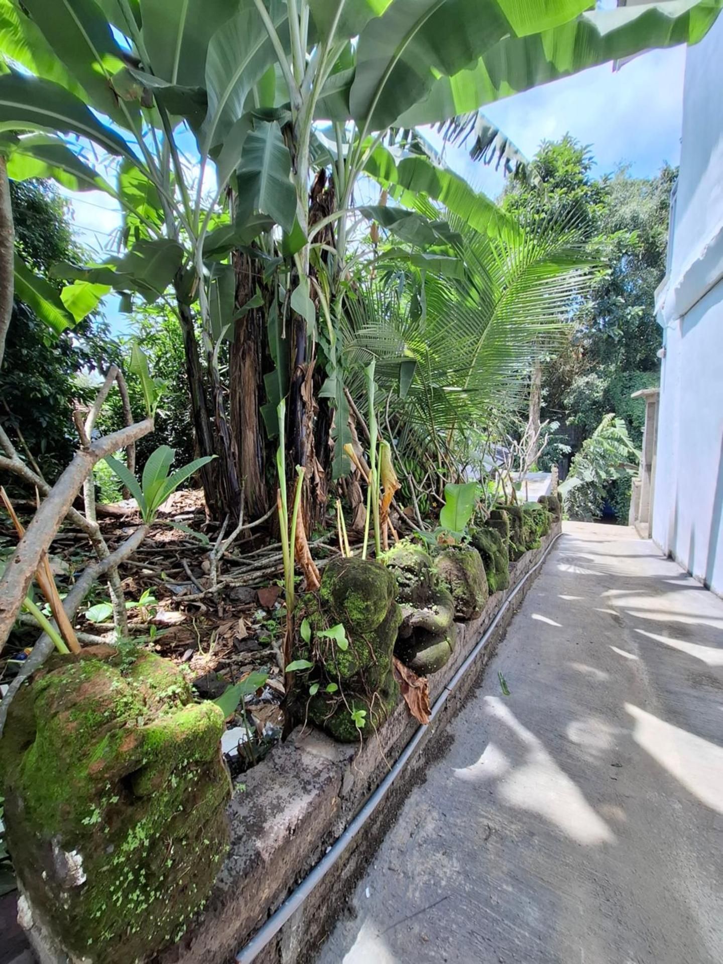 Palm House Ubud