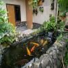 Vinaya homestay
