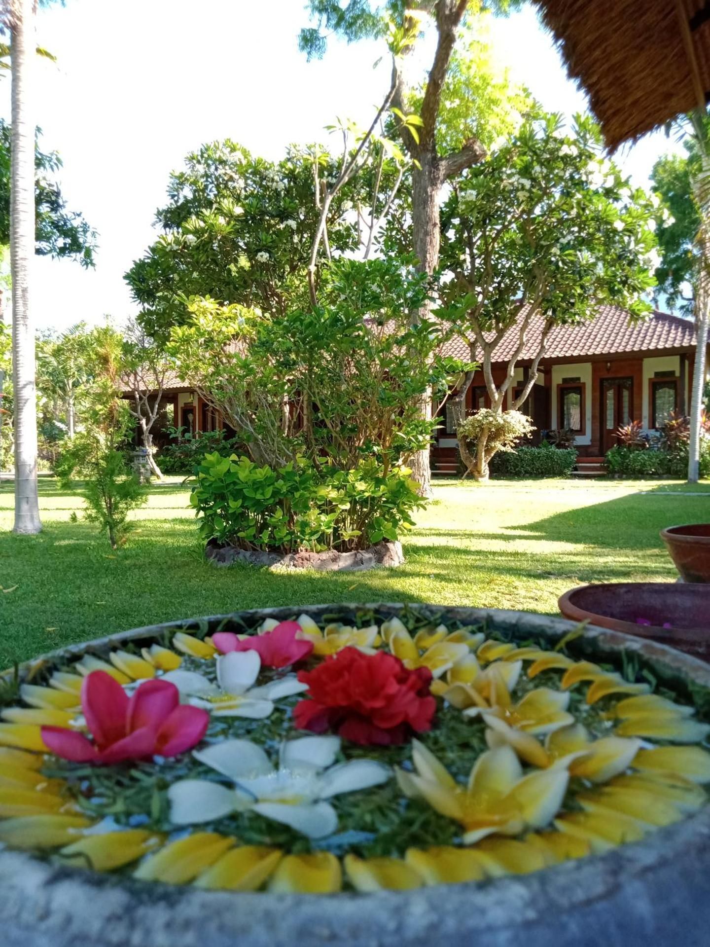 Reef Seen Divers' Resort
