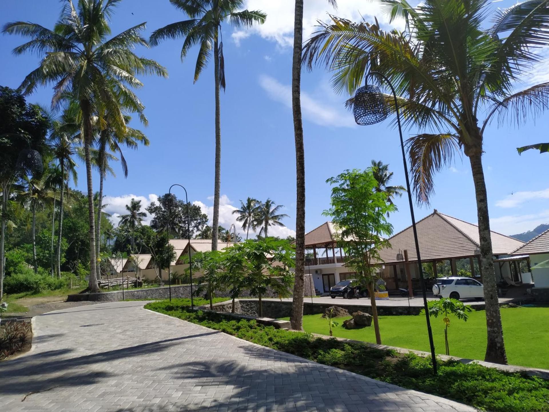 Palmterrace