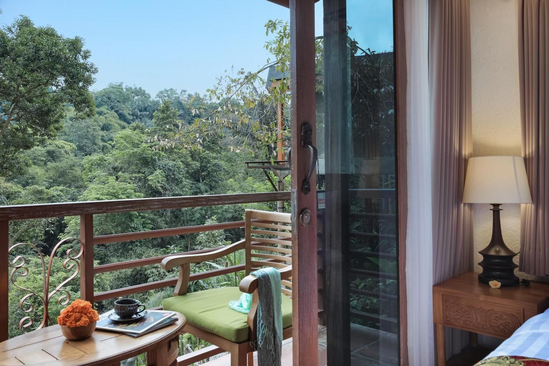 Deluxe Room with Valley View 