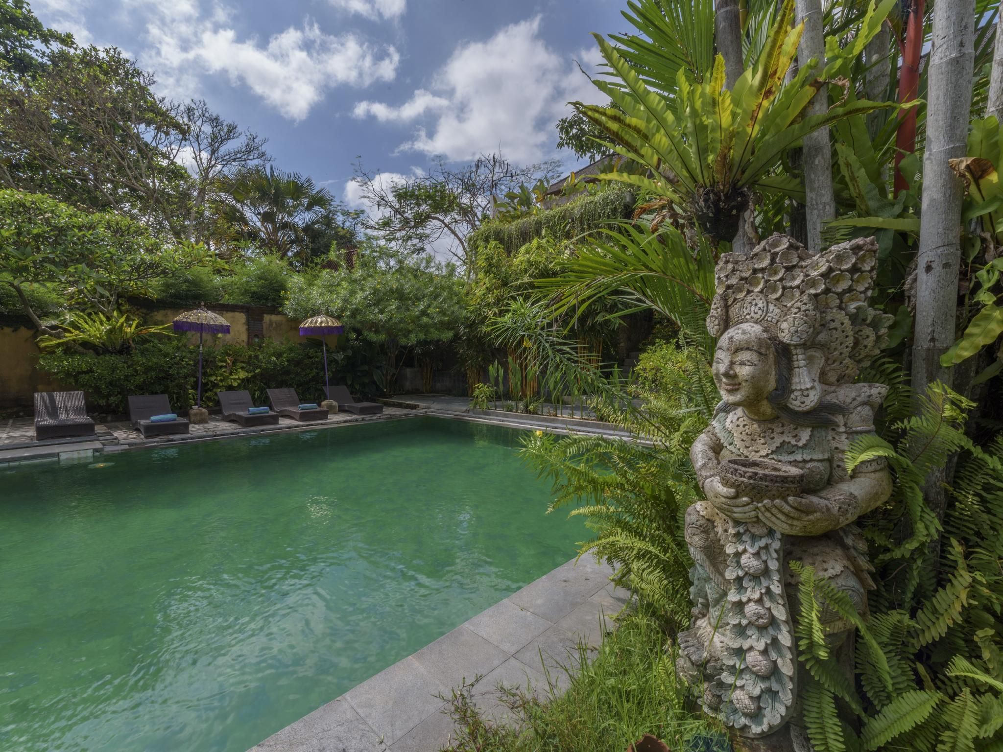 swimming pool [outdoor]