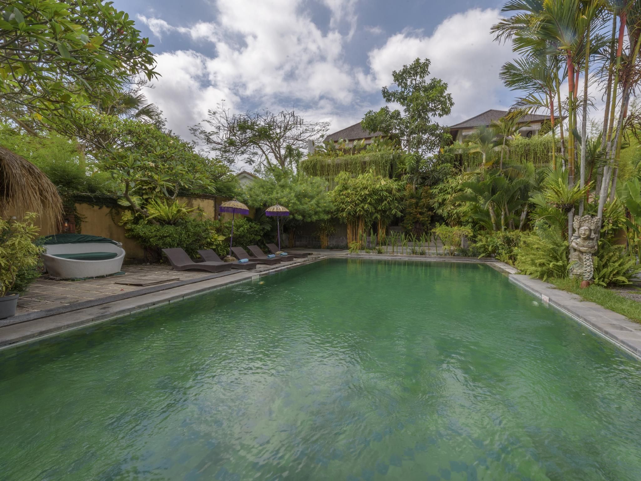 swimming pool [outdoor]