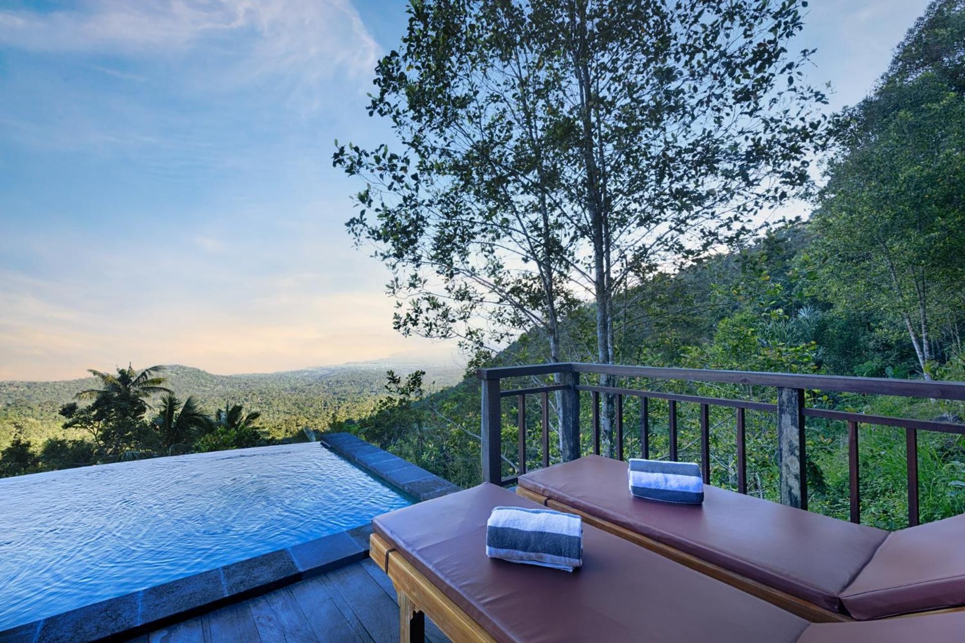 Deluxe Wana Pool Villa with View