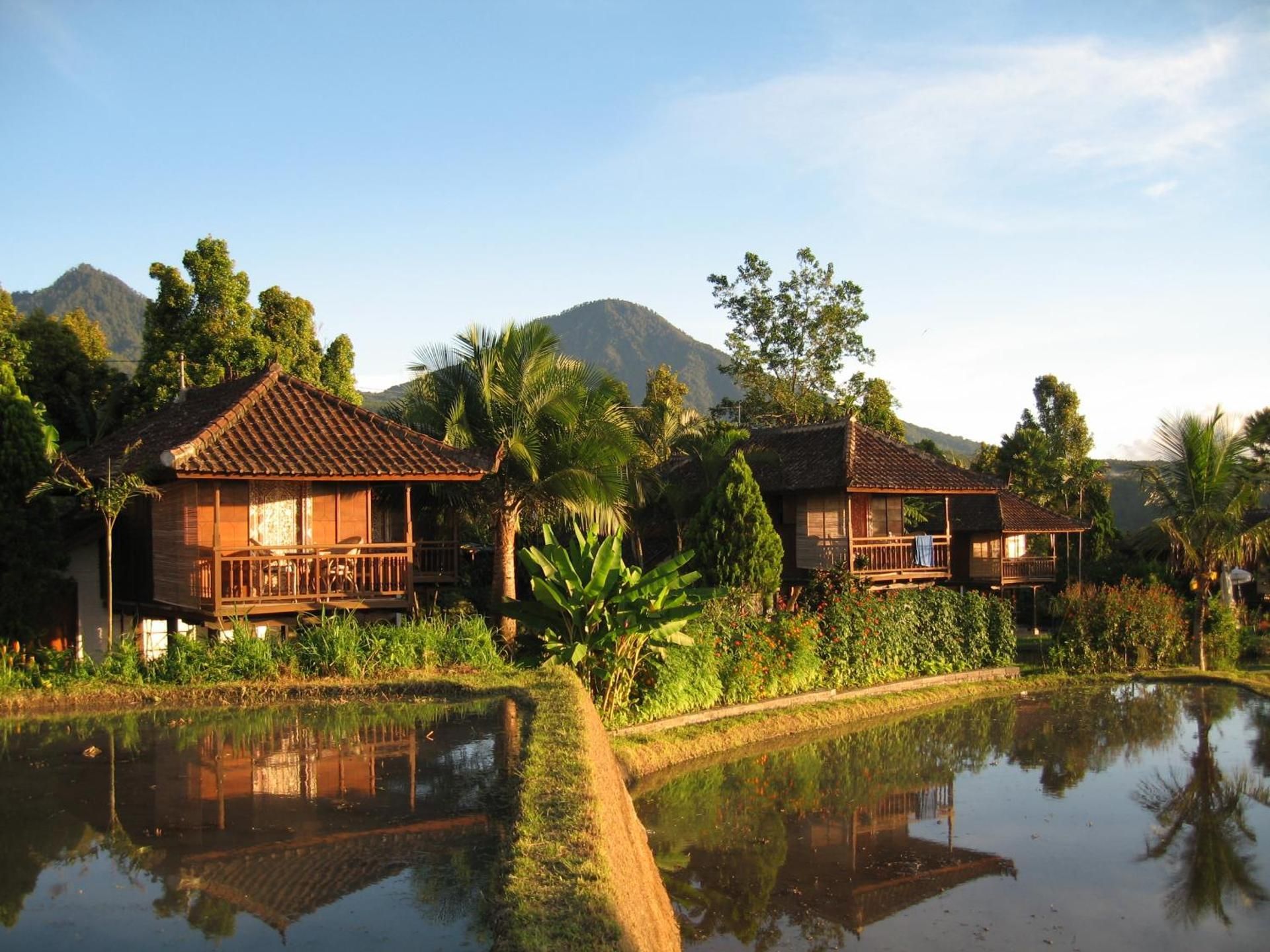 Standard Cottage