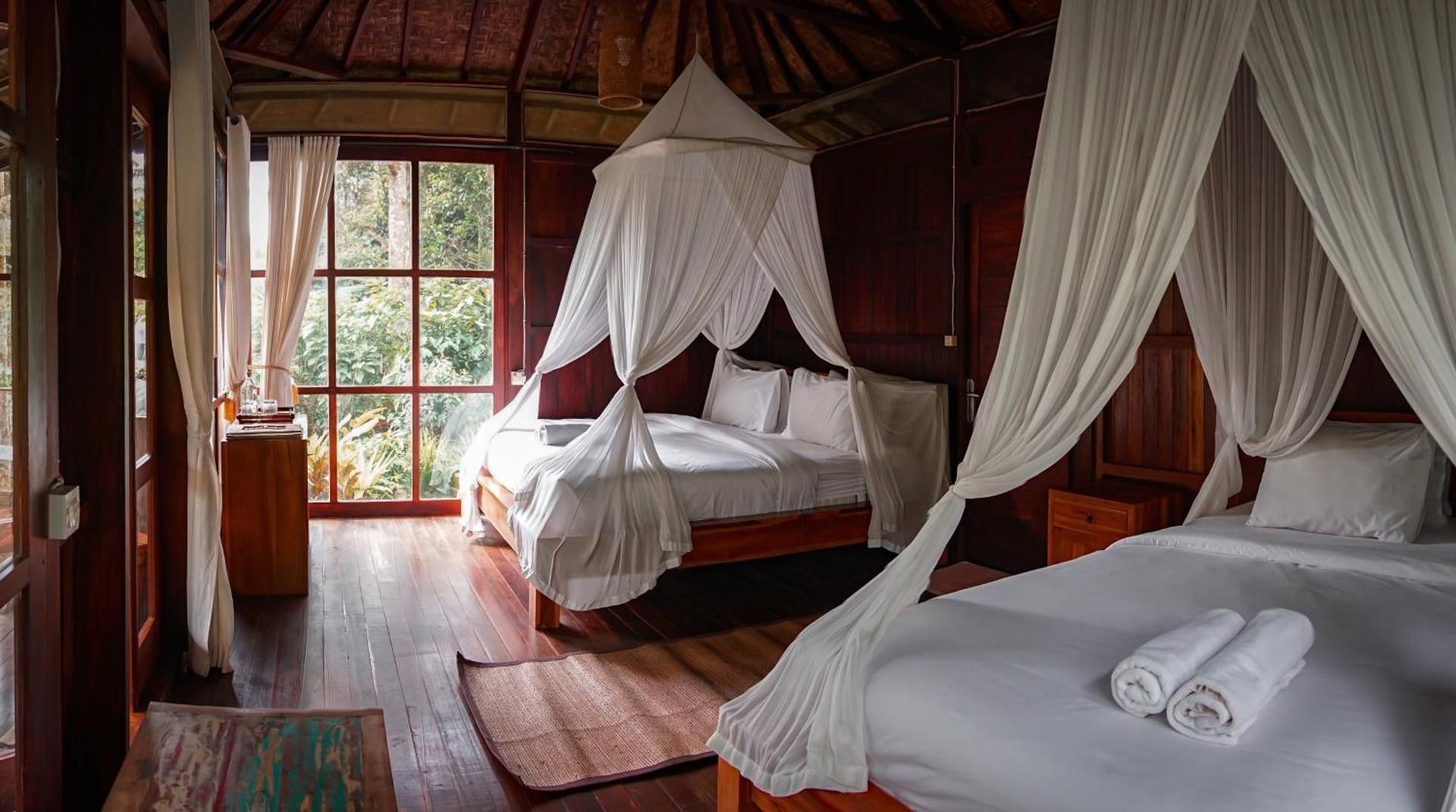Family Jungle Ecolodge