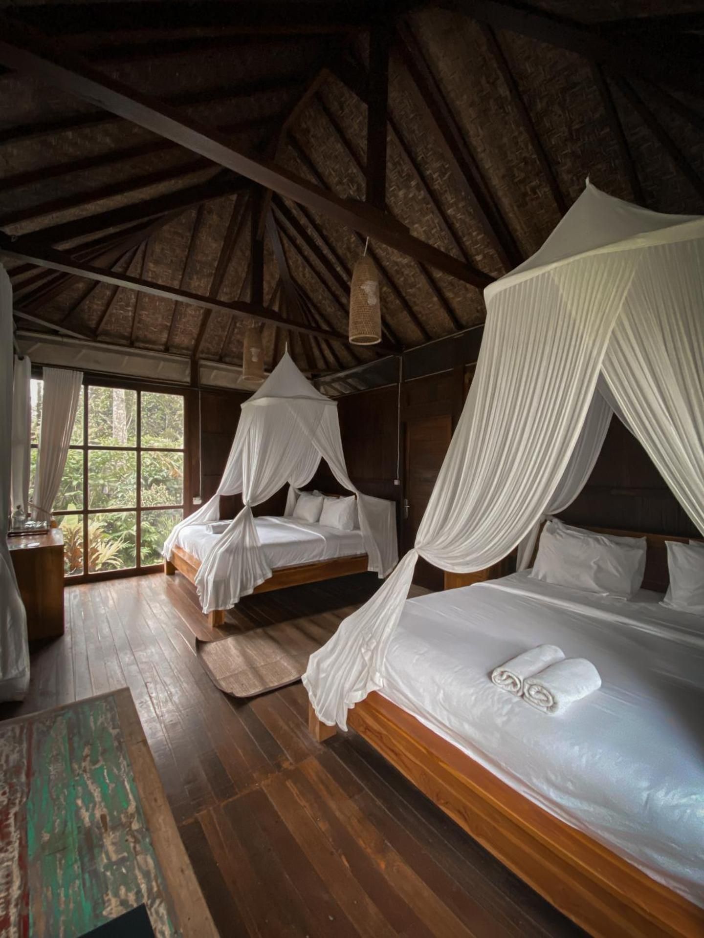 Family Jungle Ecolodge