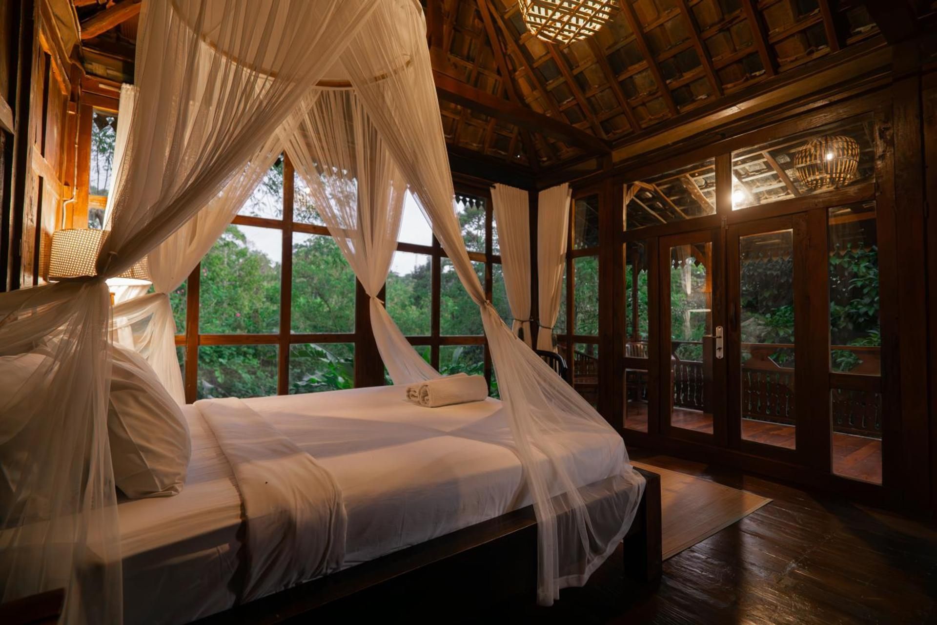 Deluxe Jungle Ecolodge