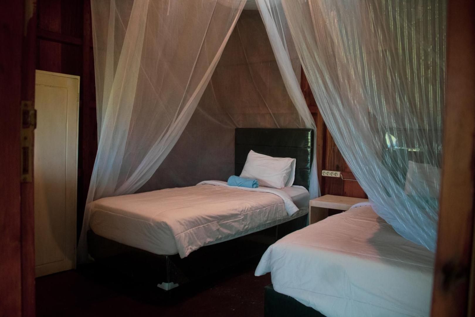 Standard Twin Room with Mountain View