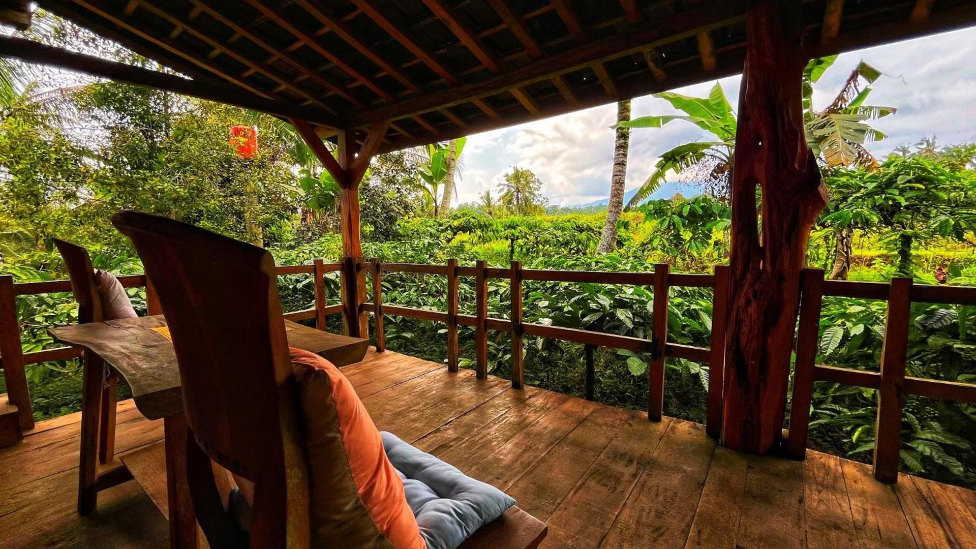 Superior Villa