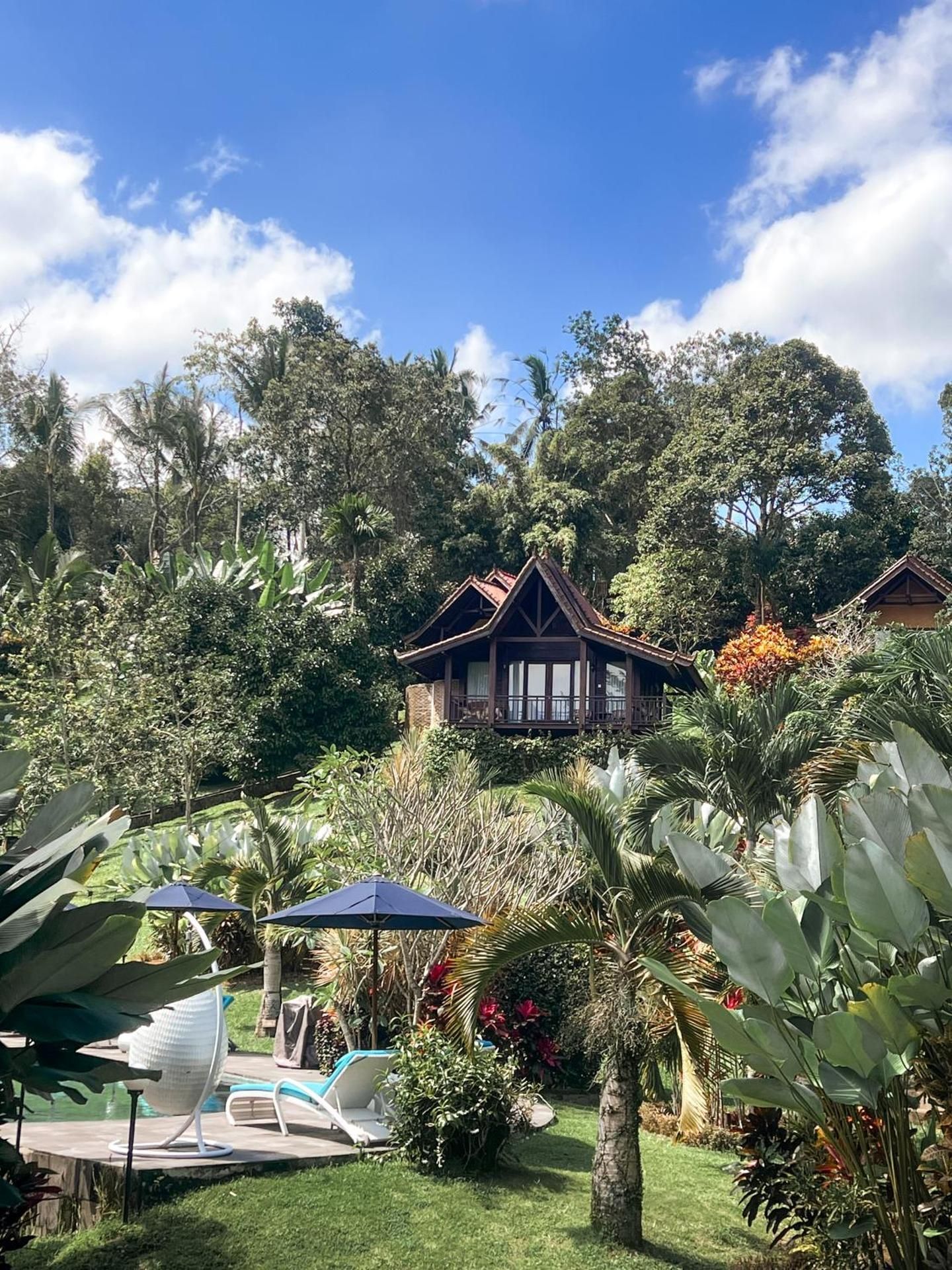 Bali Palms
