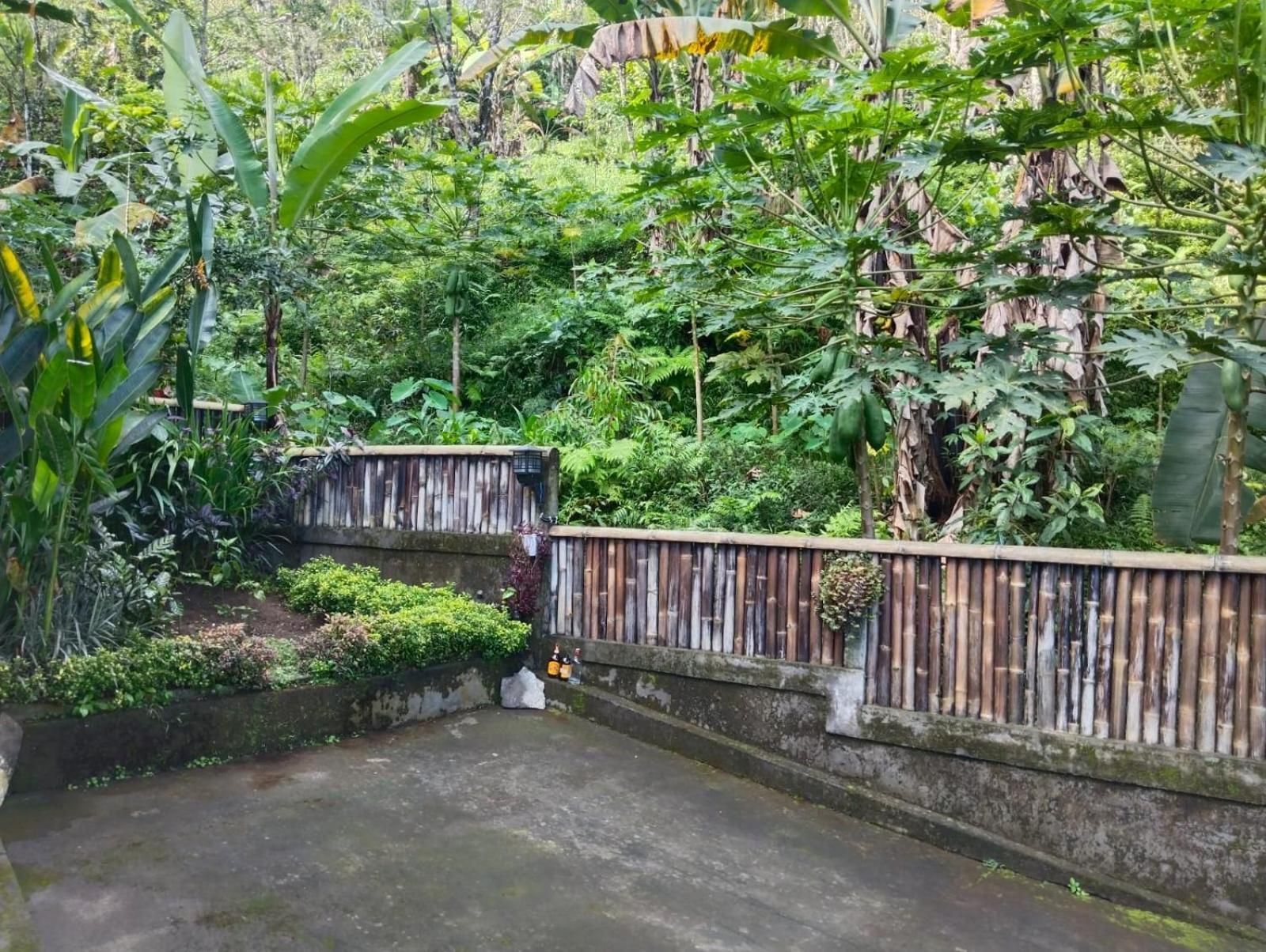 Villa Kubu Gitgit