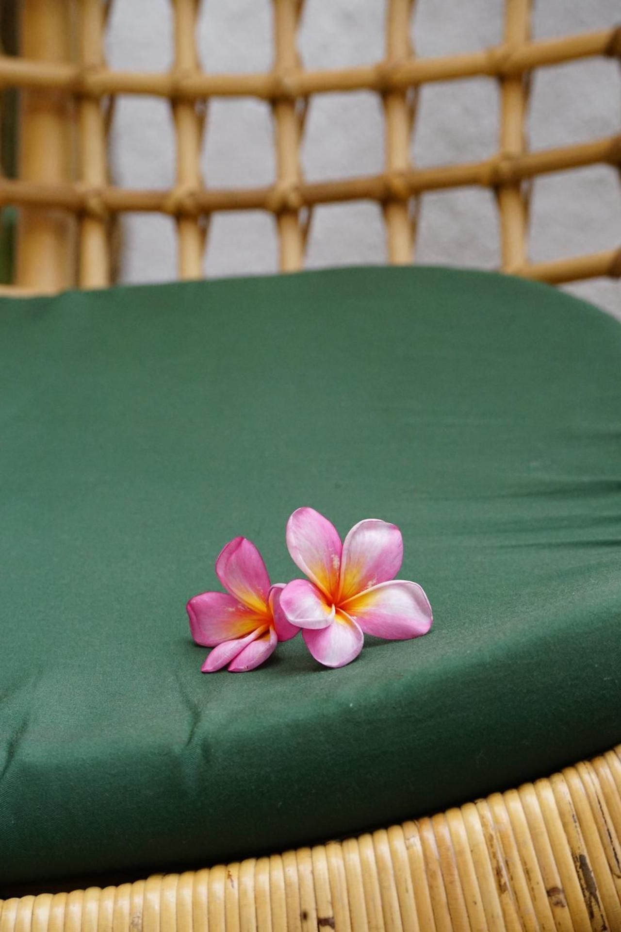 Guesthouse Canggu