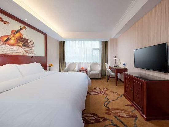 Vienna - Deluxe Room